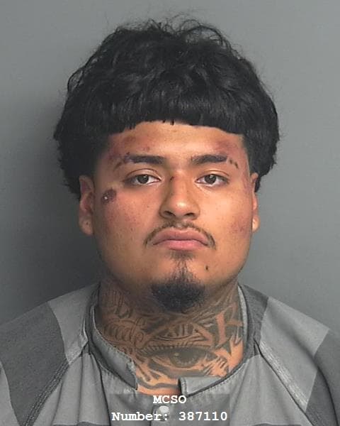ELIAS ARTEAGA